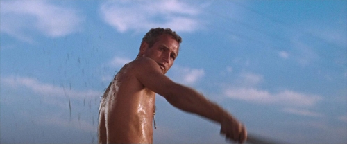 Cool Hand Luke 12