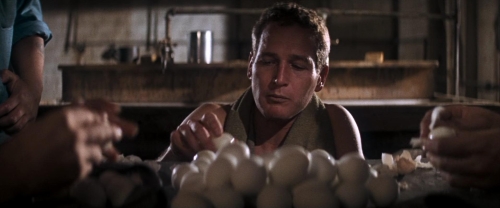 Cool Hand Luke 33