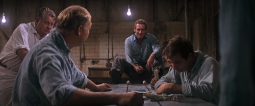 Cool Hand Luke 37