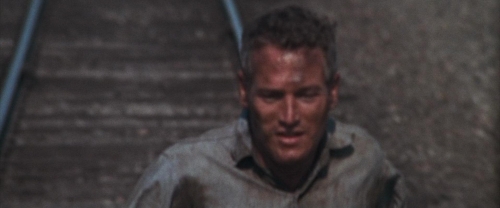 Cool Hand Luke 43