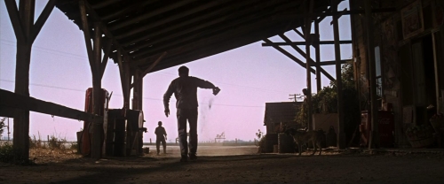 Cool Hand Luke 50