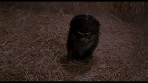Critters 024