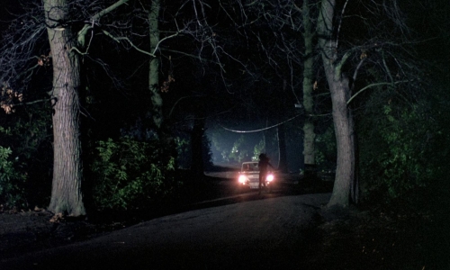 Curse of the Crimson Altar 10