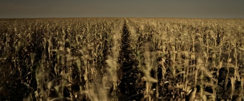 Dark Harvest 02