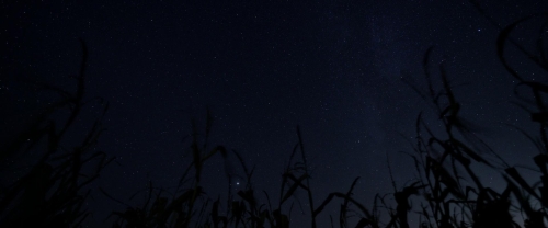 Dark Harvest 03