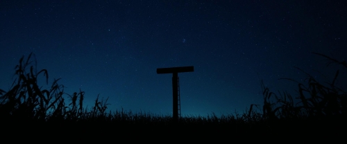 Dark Harvest 19