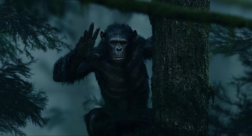 Dawn of the Planet of the Apes 002