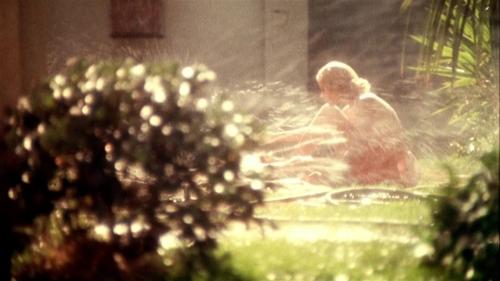 Day of the Locust 02