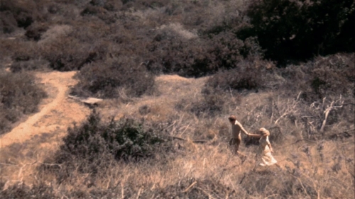 Day of the Locust 22