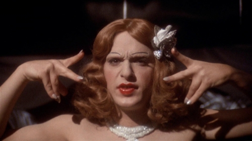 Day of the Locust 45