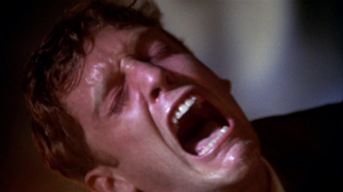 Day of the Locust 62