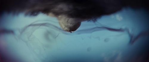 Decision to Leave 12