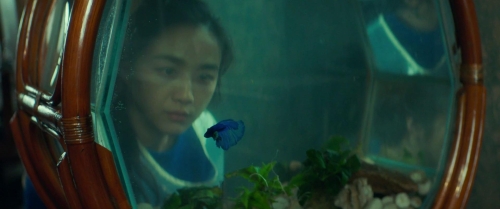 Decision to Leave 16