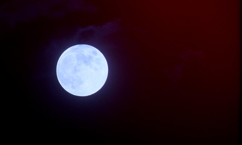 Dellamorte Dellamore 18