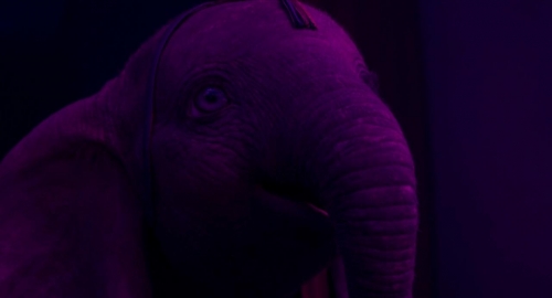 Dumbo 029