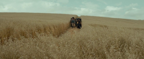 Dungeons and Dragons 18