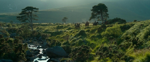 Dungeons and Dragons 28