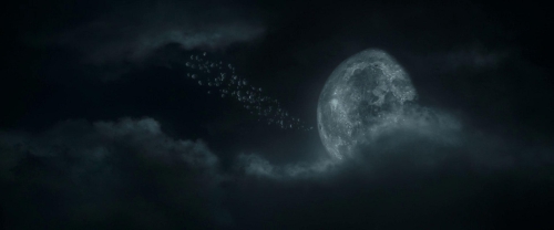 Dungeons and Dragons 29