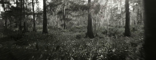 Emancipation 02