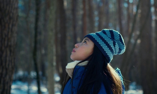 Evil Does Not Exist 03