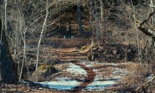 Evil Does Not Exist 10