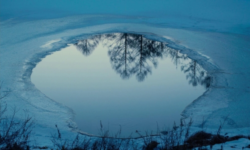 Evil Does Not Exist 19