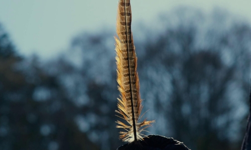 Evil Does Not Exist 20