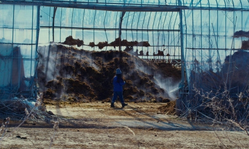 Evil Does Not Exist 35