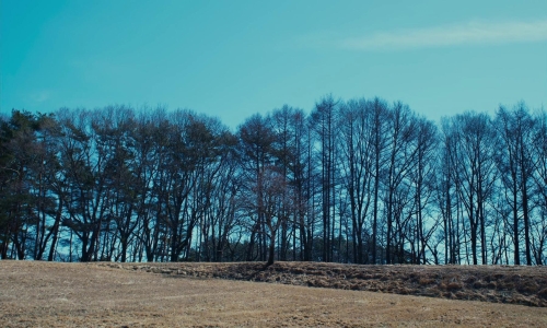 Evil Does Not Exist 36