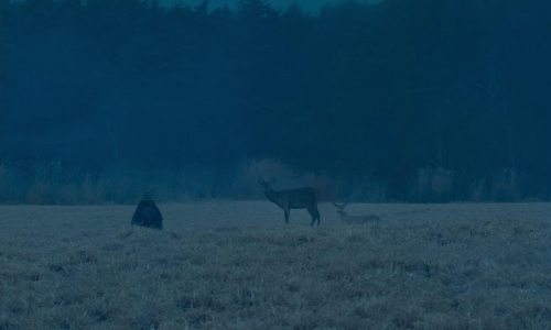 Evil Does Not Exist 50