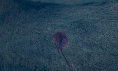 Evil Does Not Exist 52