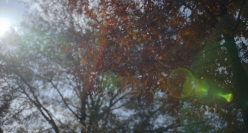 Exorcist Believer 61