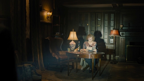 Fahrenheit 451 2018 28