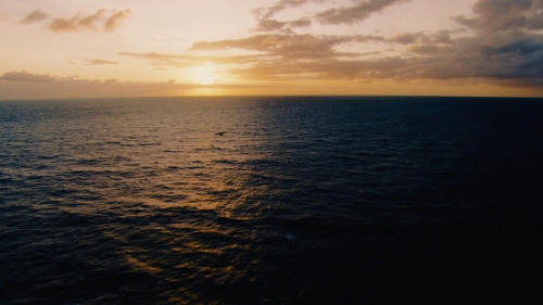 Fahrenheit 451 2018 62