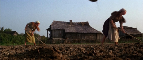 Fiddler on the Roof 06