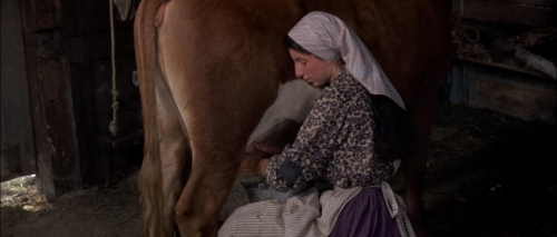 Fiddler on the Roof 21