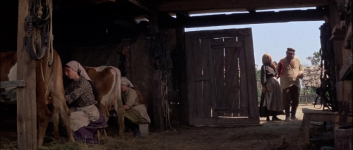 Fiddler on the Roof 22