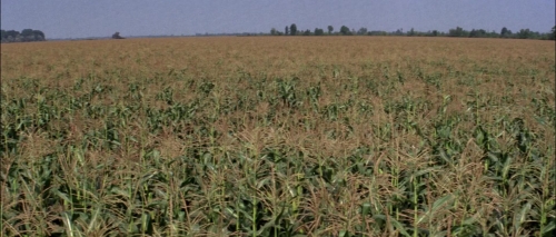 Fiddler on the Roof 24