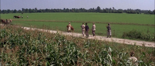 Fiddler on the Roof 25