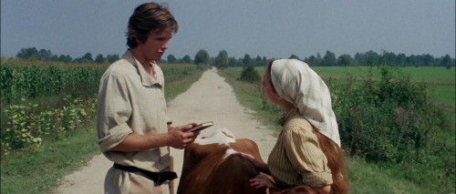 Fiddler on the Roof 26