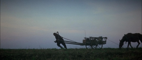 Fiddler on the Roof 43