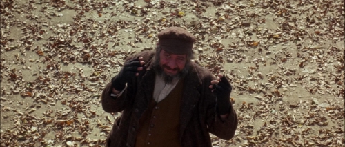 Fiddler on the Roof 46