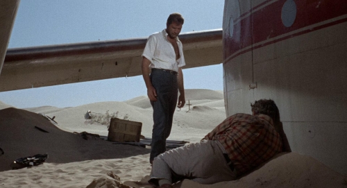 Flight Of the Phoenix 24