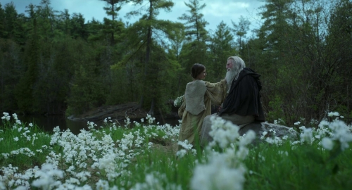 Frankenstein 2025 43