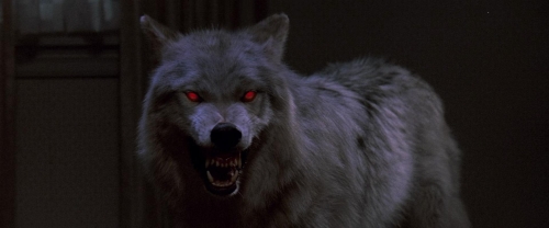 Fright Night 1985 42