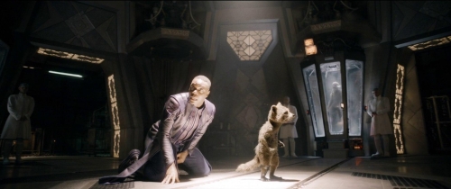 GOTG3 29
