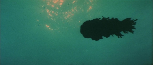 Godzilla Vs Hedorah 013