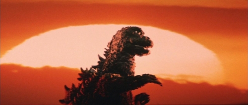 Godzilla Vs Hedorah 016