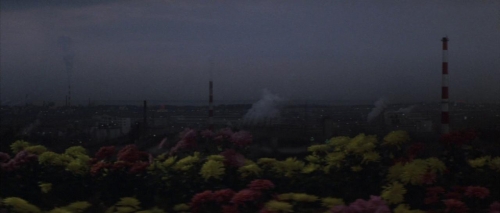 Godzilla Vs Hedorah 029