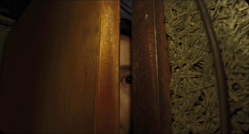 Goodbye Dragon Inn 21